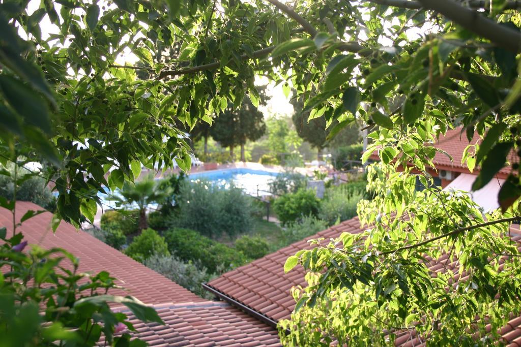 Agriturismo Ruralia 산타도메니카 외부 사진