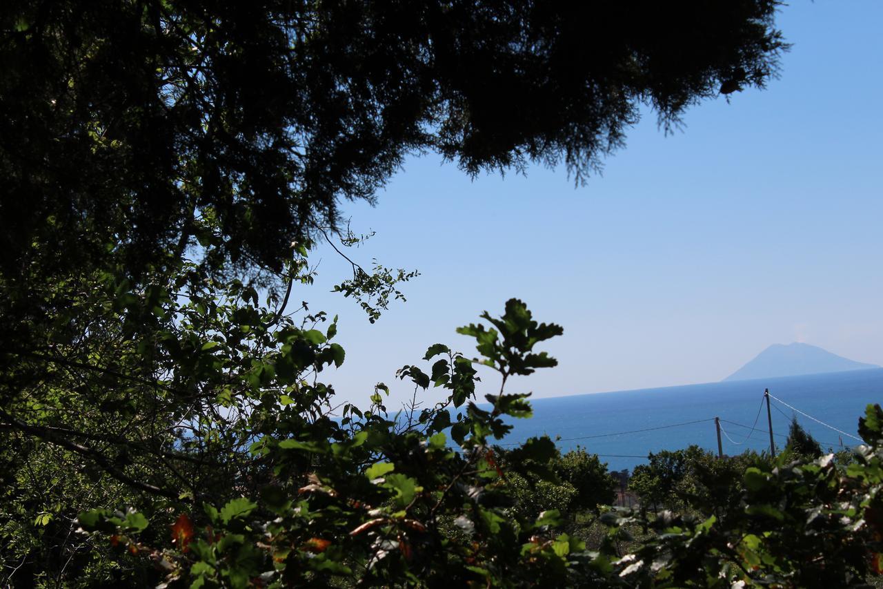 Agriturismo Ruralia 산타도메니카 외부 사진