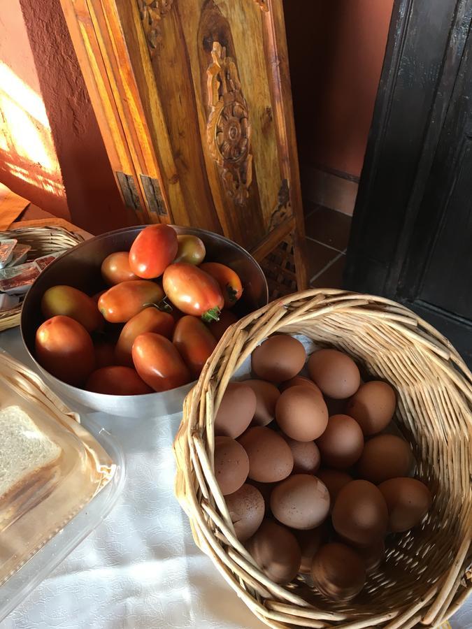 Agriturismo Ruralia 산타도메니카 외부 사진